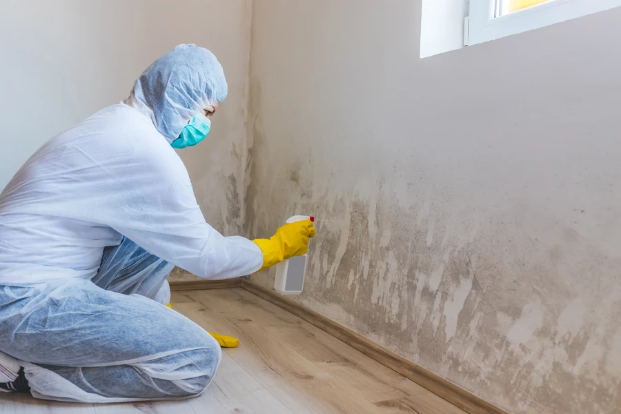Affordable Mold Remediation Service Columbus, GA Affordable Mold Remediation Service Columbus, GA