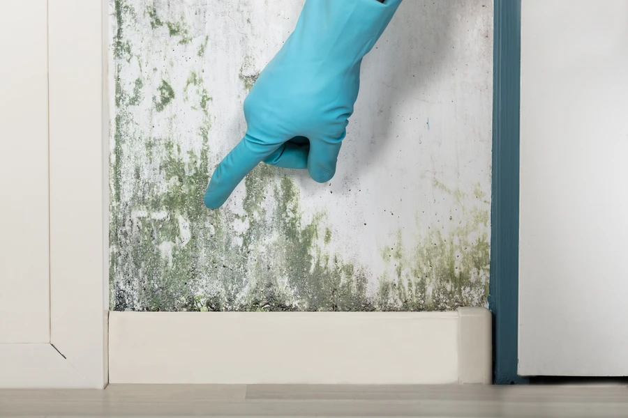 How Mold Inspection Service Prevents Health Risks Columbus, GA How Mold Inspection Service Prevents Health Risks Columbus, GA