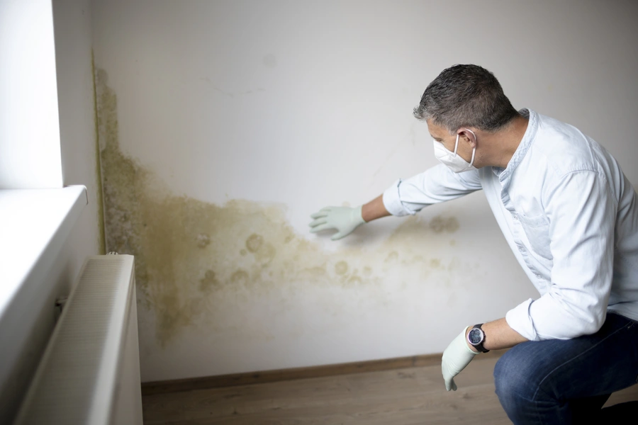 Premium Mold Inspection Service Columbus, GA Premium Mold Inspection Service Columbus, GA