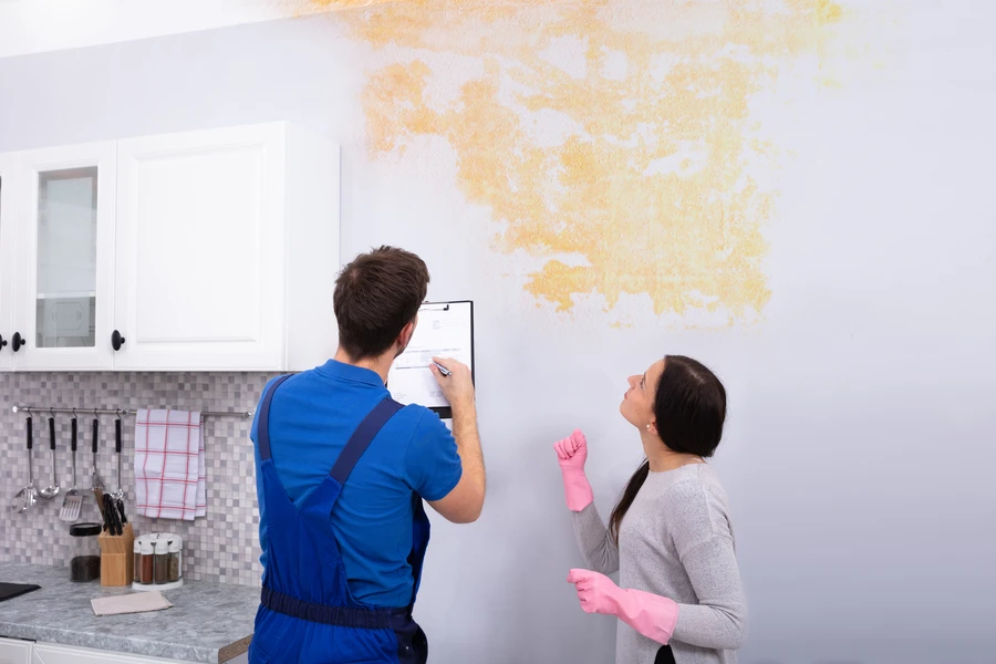 Professional Mold Inspection Service Columbus, GA Professional Mold Inspection Service Columbus, GA