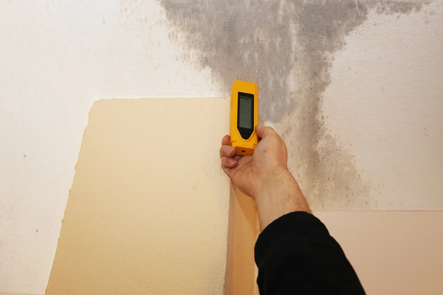 What To Expect During Mold Inspection Service Columbus, GA What To Expect During Mold Inspection Service Columbus, GA